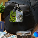 Search for sunlight accessories Green