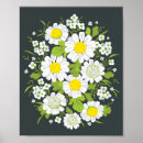 Recherche de camomille posters Marguerite