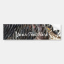 Search for feathers bumper stickers Nature