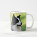 Search for border collie dog mugs Photography