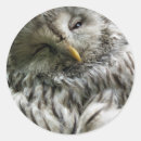 Search for bird of prey stickers Animals