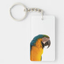 Search for colorful parrot keychains Macaw