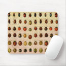 Recherche de entomologie tapis souris Mouche