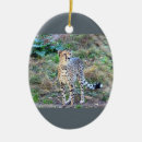 Search for cheetah ornaments Wildlife