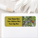 Search for male return address labels Nature