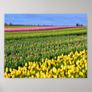 Search for rows posters Flowers