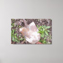 Search for rusty canvas prints Antique