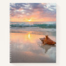 Search for beach shells notebooks Seashell