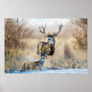 Search for buck and doe posters Winter
