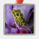 Search for vietnam ornaments Southeast asia