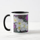 Search for california desert mugs Anza borrego