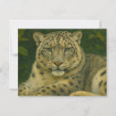 Search for watcher postcards Wildlife