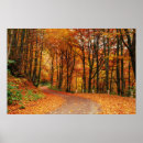 Search for forest path posters Colorful