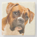 Search for boxer puppy coasters Animal