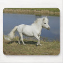 Recherche de cheval miniature tapis souris Fonctionnement