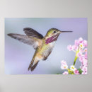 Recherche de bird nature posters Birder