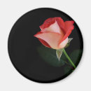 Recherche de jardin anglais magnets Floral