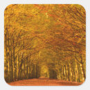 Search for forest path stickers Autumn