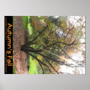 Search for light ray posters Tree