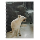 Recherche de loups carnets Faune