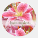 Recherche de stargazer lily stickers Lilium