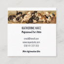 Recherche de cat sitter cartes visite Chaton