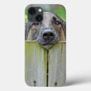 Search for over it ipad cases Animal