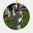 Recherche de griffe ornements Chat