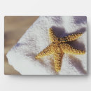 Search for beach life plaques Nautical