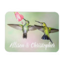 Search for hummingbird magnets Nature