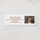 Recherche de apbt Américain