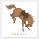 Search for bucking horse stickers Cowgirl
