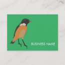 Recherche de colibris cartes visite Moderne