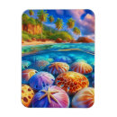 Recherche de oursin magnets Plage