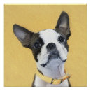 Recherche de terrier de boston posters Chien