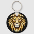 Search for intensive keychains Abstract