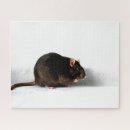 Recherche de rattie puzzles Mignon