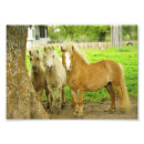 Recherche de equin art Mur