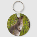 Search for wallabies keychains Wallaby