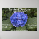 Search for florists art Photography