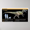 Search for allosaurus posters Cute