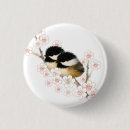 Search for chickadee buttons Cute