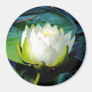 Recherche de fleur lotus magnets Fleurir