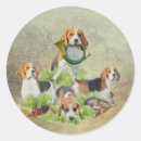 Search for beagle hound stickers Foxhound