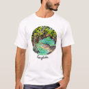 Search for swamp clothing Adventure