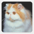 Search for one eyed stickers Animal