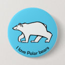 Search for polar animals buttons Arctic