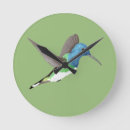 Search for hummingbirds clocks Blue