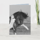 Search for black horse cards Wild