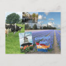 Search for flower bulbs postcards Netherlands